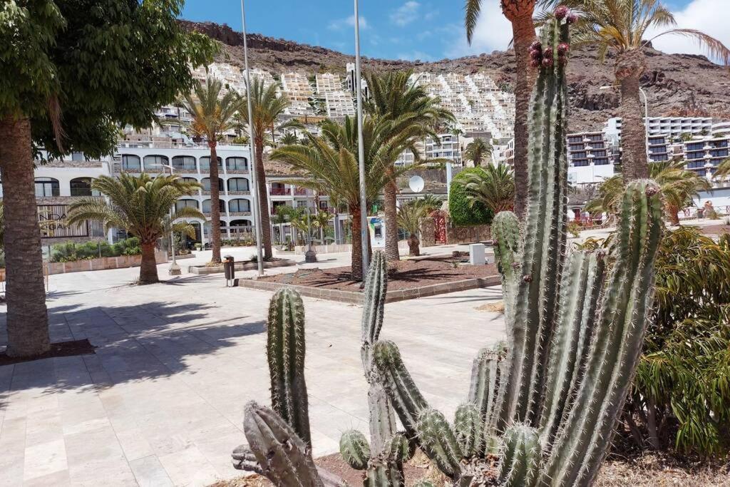Ertel Suite Monte Golf-Vista Mar Playa Del Cura  Bagian luar foto